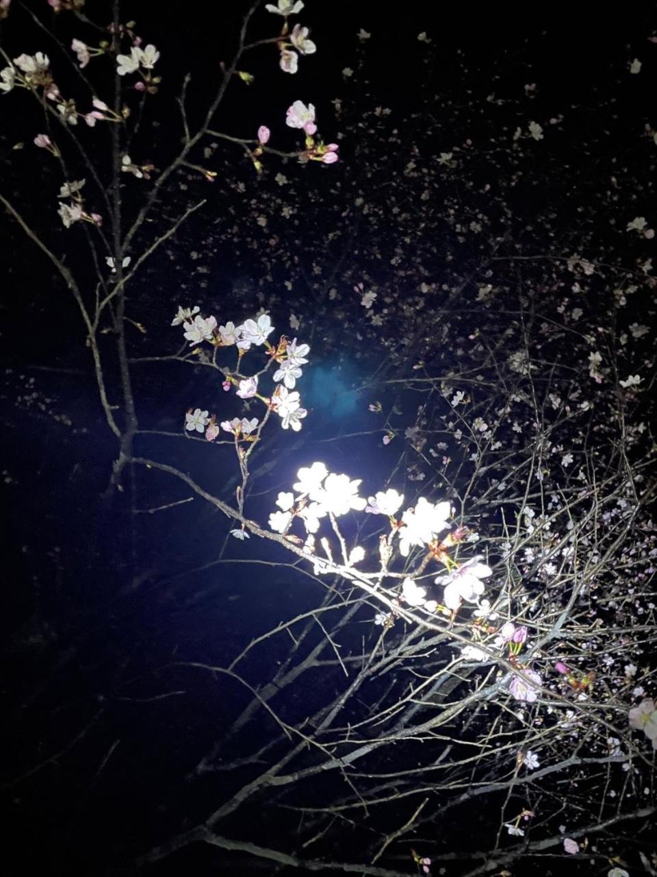 فندق Kinugawa Keisui نيكو المظهر الخارجي الصورة