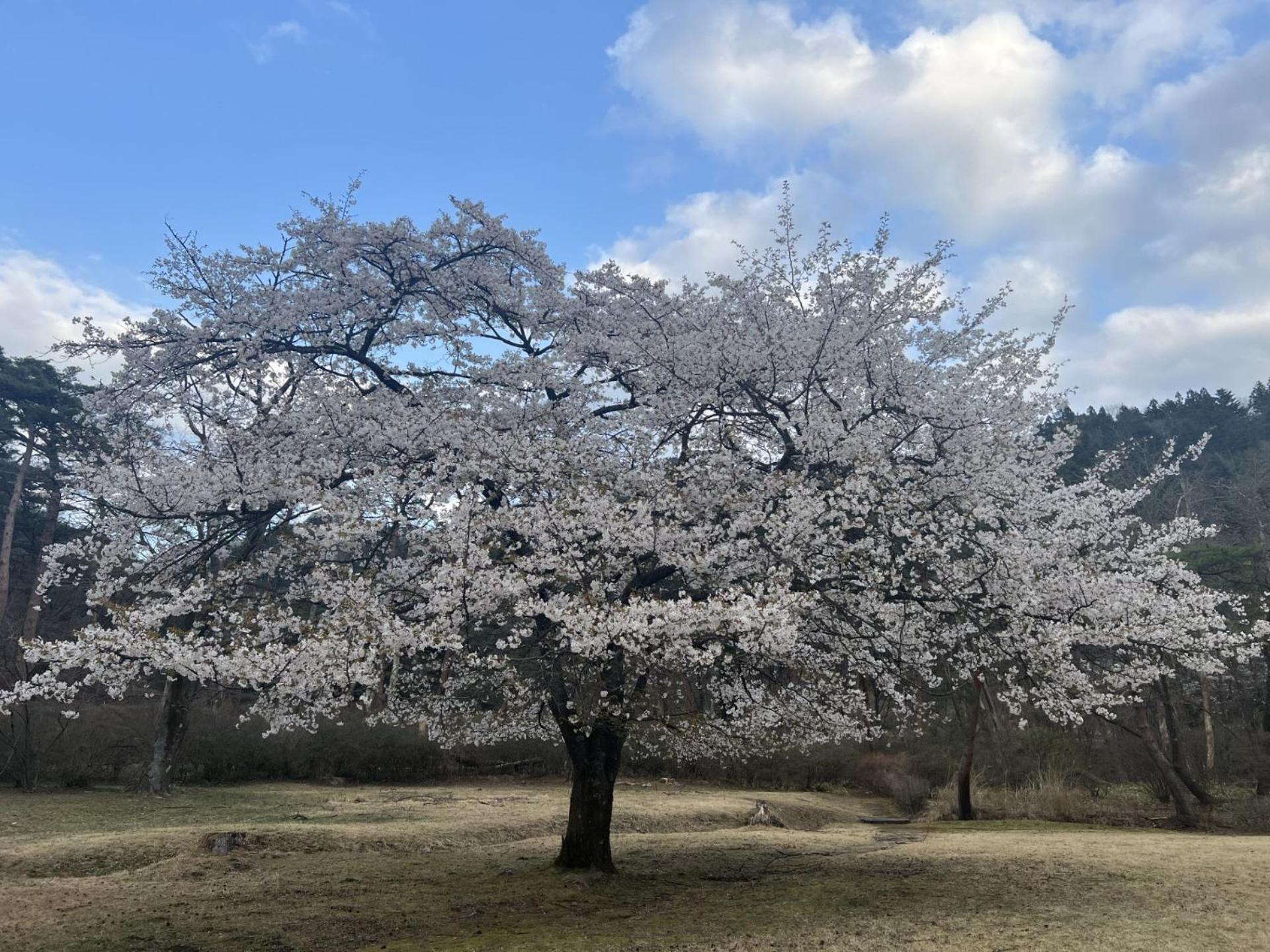 فندق Kinugawa Keisui نيكو المظهر الخارجي الصورة
