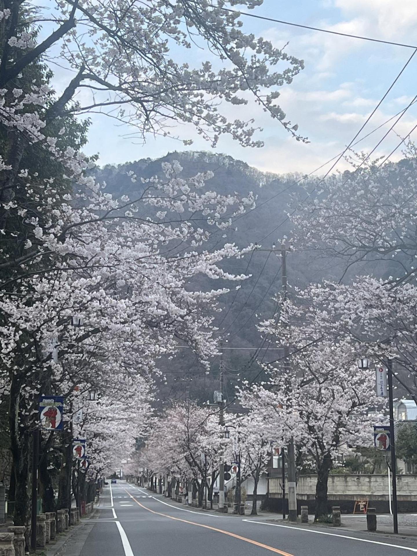 فندق Kinugawa Keisui نيكو المظهر الخارجي الصورة