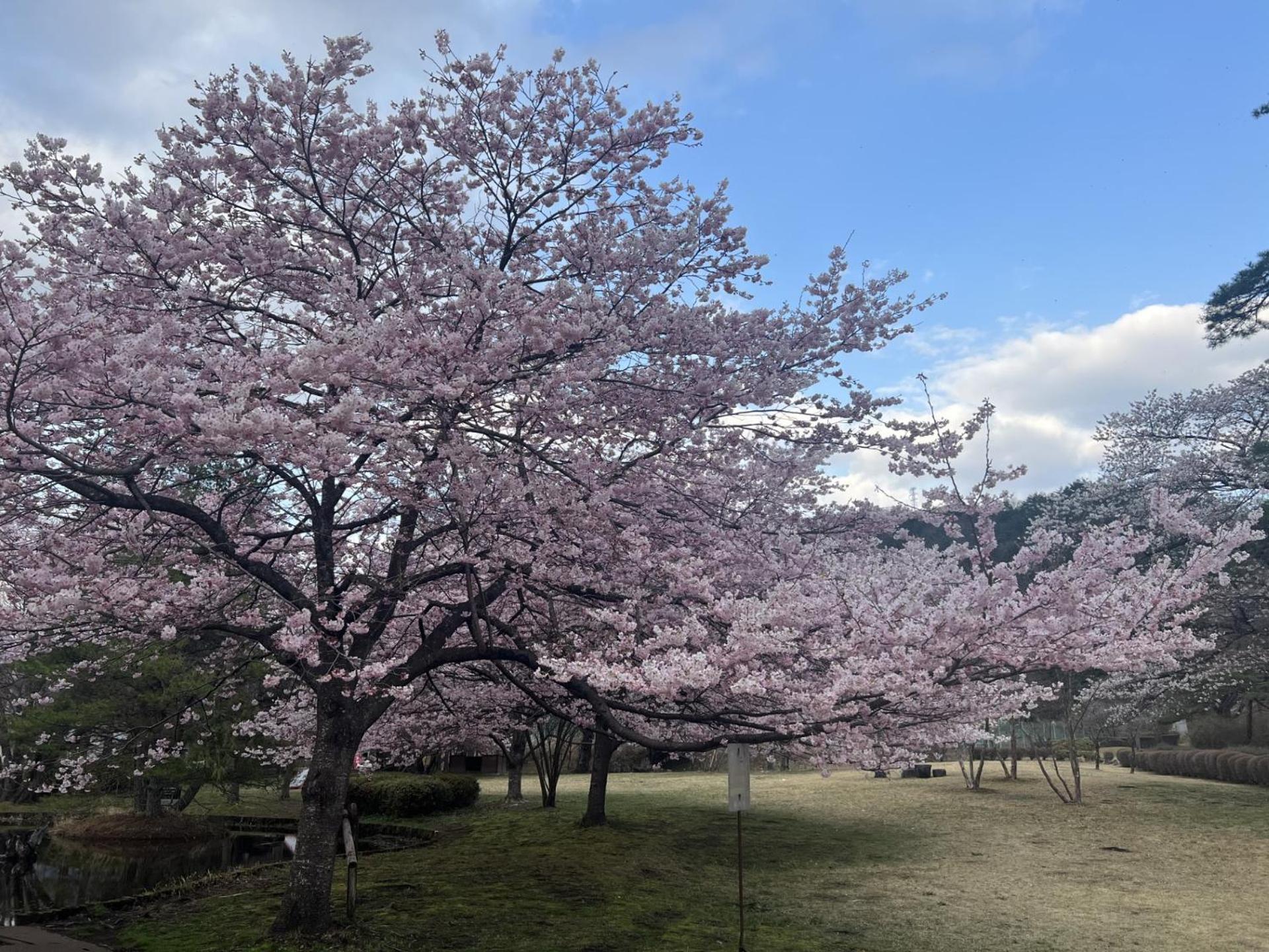 فندق Kinugawa Keisui نيكو المظهر الخارجي الصورة