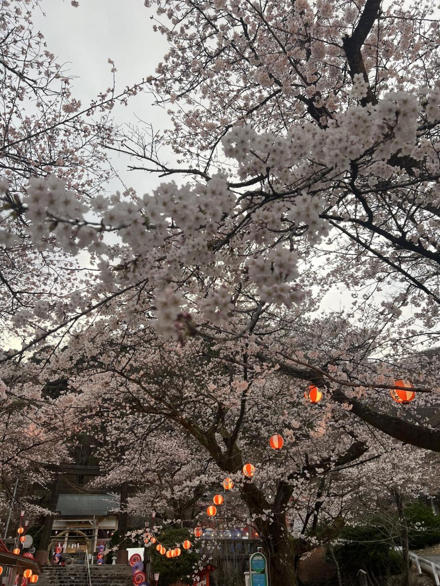 فندق Kinugawa Keisui نيكو المظهر الخارجي الصورة